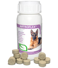 Cargar imagen en el visor de la galería, Artroflex de Ruiland, Suplemento Alimenticio para Perros, 60 Tabletas Masticables
